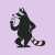 Wild Raccon